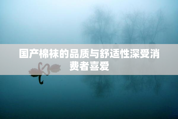 国产棉袜的品质与舒适性深受消费者喜爱