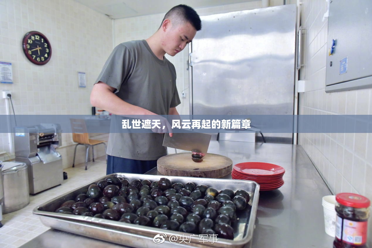 乱世遮天，风云再起的新篇章
