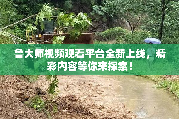 鲁大师视频观看平台全新上线，精彩内容等你来探索！