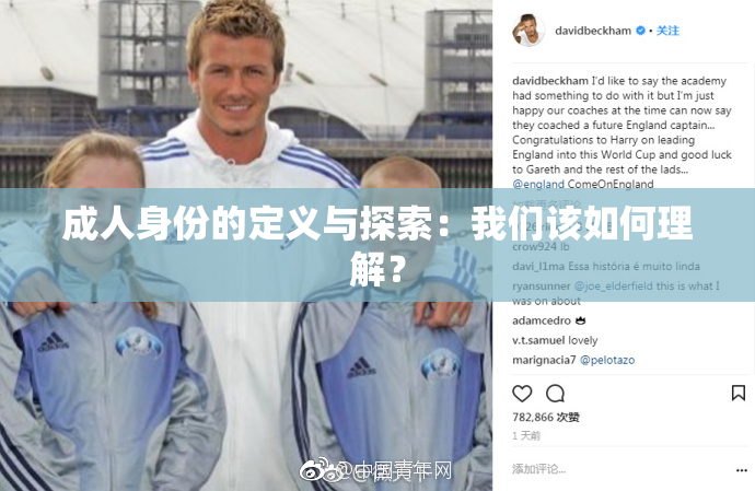 成人身份的定义与探索：我们该如何理解？