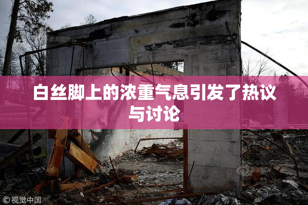 白丝脚上的浓重气息引发了热议与讨论