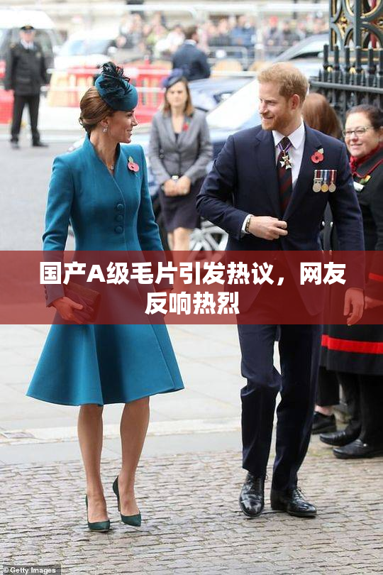 国产A级毛片引发热议，网友反响热烈