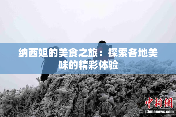 纳西妲的美食之旅：探索各地美味的精彩体验