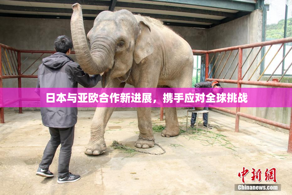 日本与亚欧合作新进展，携手应对全球挑战