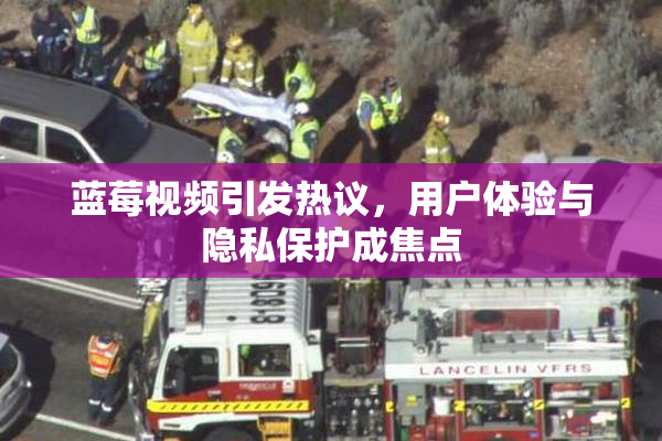 蓝莓视频引发热议，用户体验与隐私保护成焦点