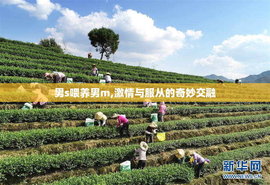 男s喂养男m,激情与服从的奇妙交融