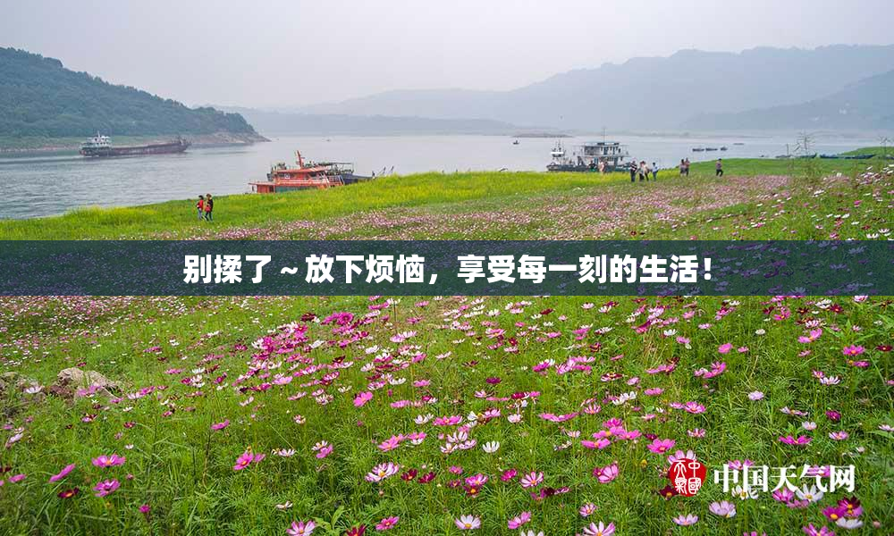 别揉了～放下烦恼，享受每一刻的生活！