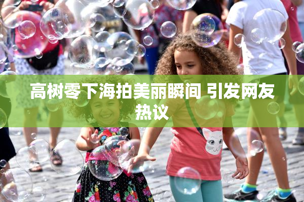 高树零下海拍美丽瞬间 引发网友热议