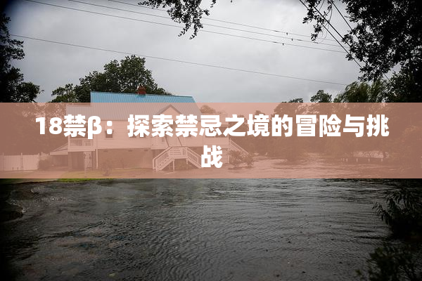 18禁β：探索禁忌之境的冒险与挑战