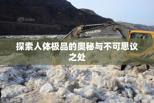 探索人体极品的奥秘与不可思议之处
