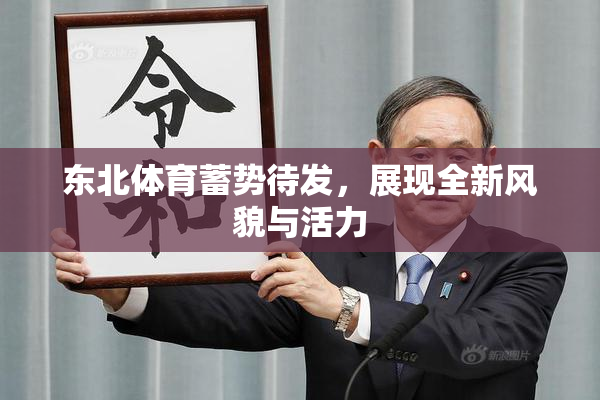 东北体育蓄势待发，展现全新风貌与活力