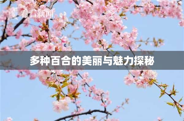 多种百合的美丽与魅力探秘