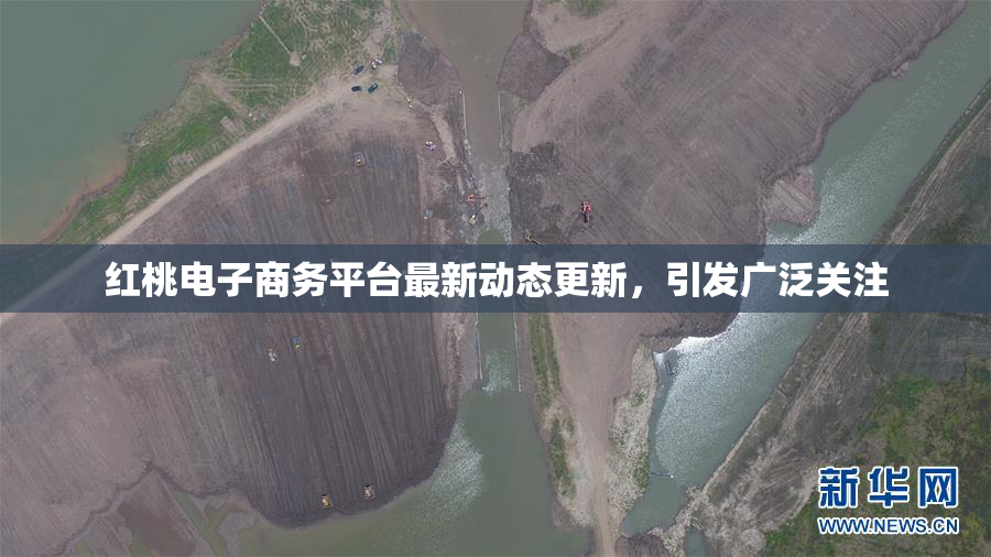 红桃电子商务平台最新动态更新，引发广泛关注
