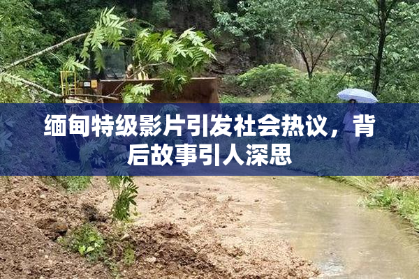 缅甸特级影片引发社会热议，背后故事引人深思