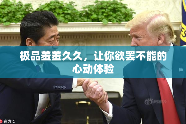 极品羞羞久久，让你欲罢不能的心动体验