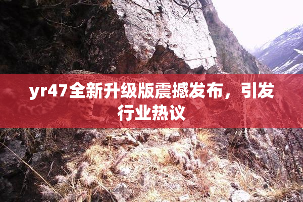 yr47全新升级版震撼发布，引发行业热议