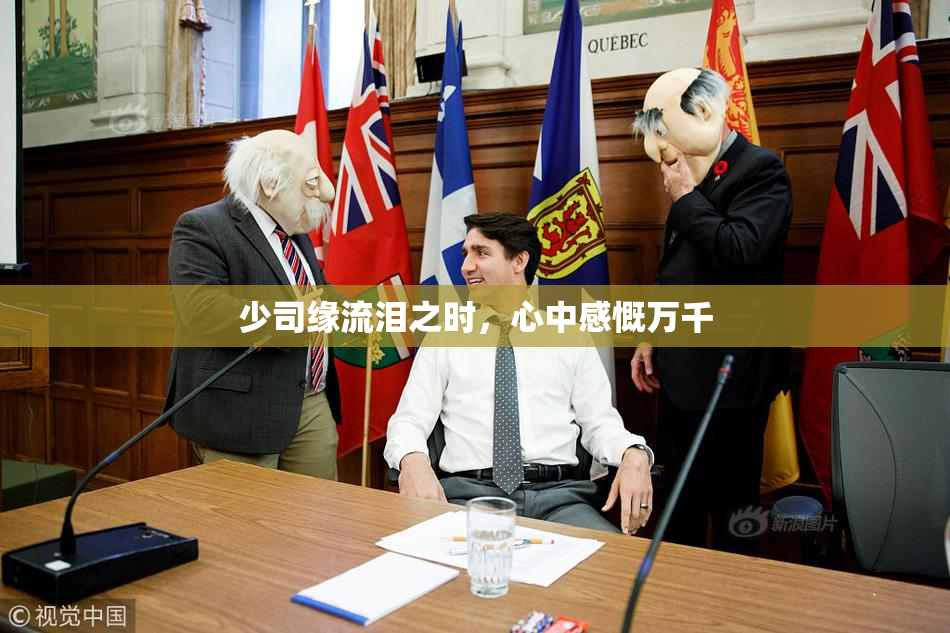 少司缘流泪之时，心中感慨万千