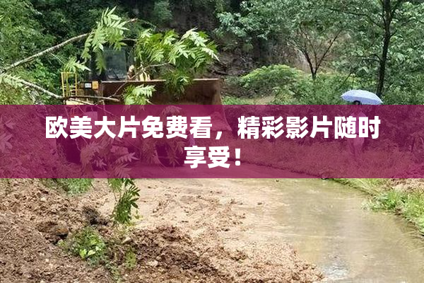 欧美大片免费看，精彩影片随时享受！