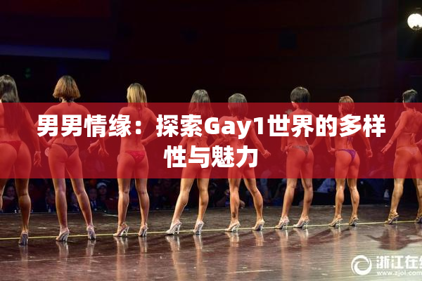 男男情缘：探索Gay1世界的多样性与魅力