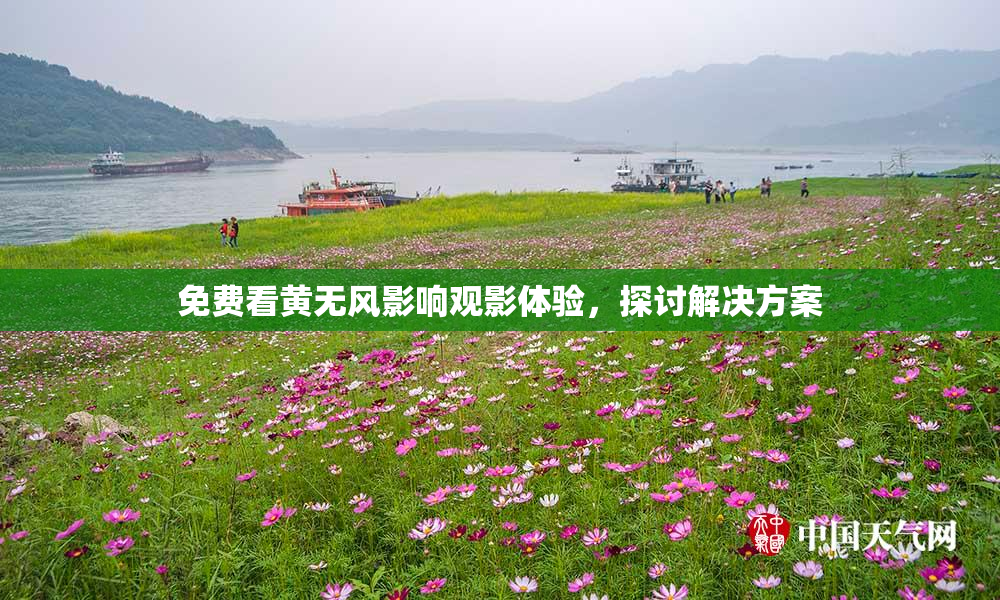 免费看黄无风影响观影体验，探讨解决方案