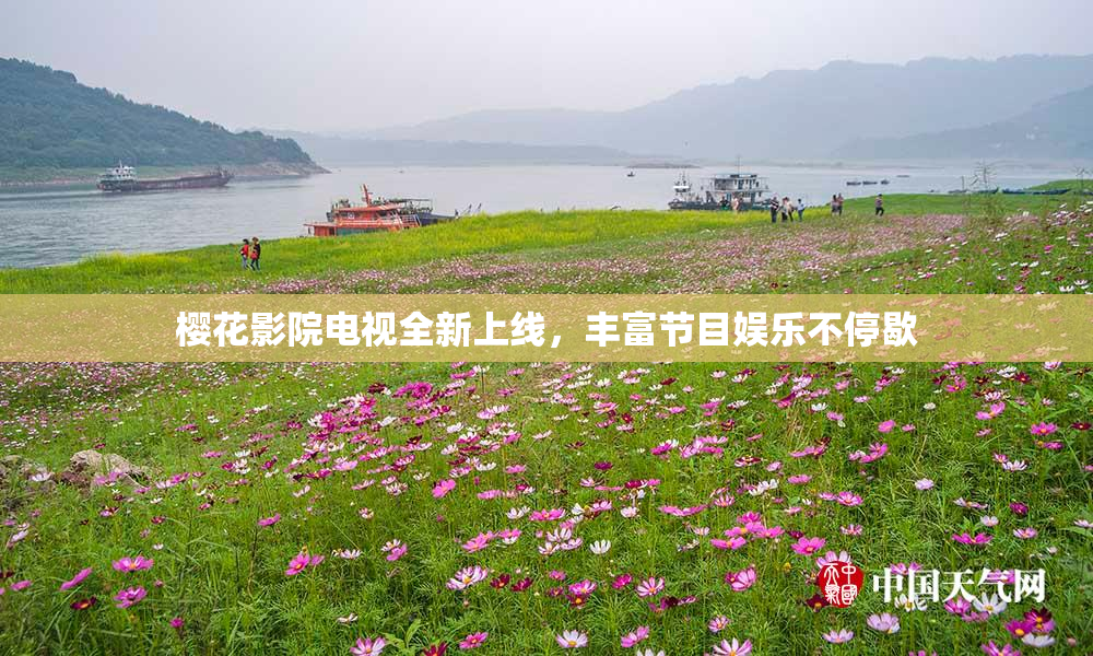 樱花影院电视全新上线，丰富节目娱乐不停歇