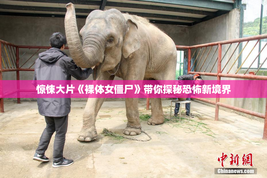 惊悚大片《裸体女僵尸》带你探秘恐怖新境界