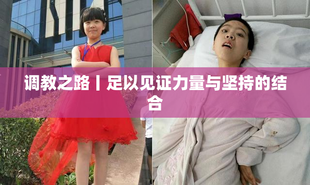 调教之路丨足以见证力量与坚持的结合