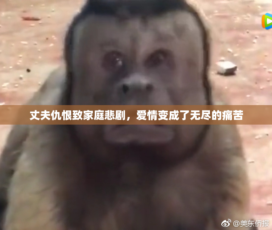 丈夫仇恨致家庭悲剧，爱情变成了无尽的痛苦