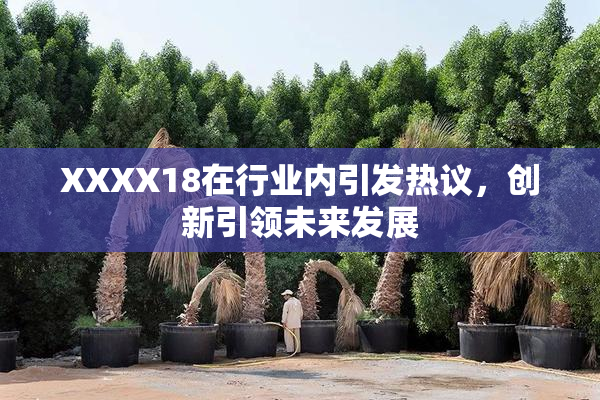 XXXX18在行业内引发热议，创新引领未来发展