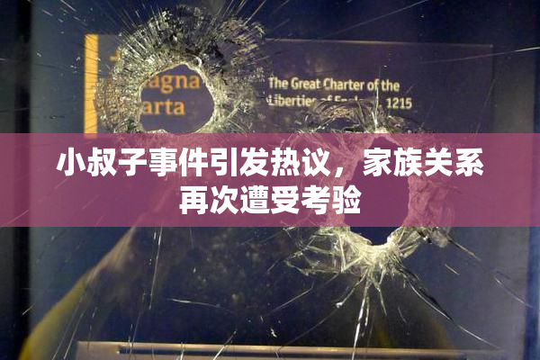 小叔子事件引发热议，家族关系再次遭受考验