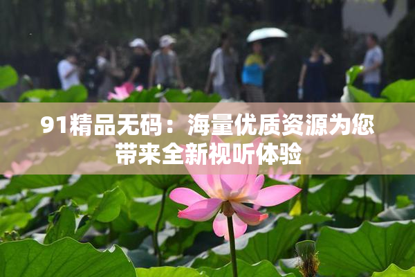 91精品无码：海量优质资源为您带来全新视听体验