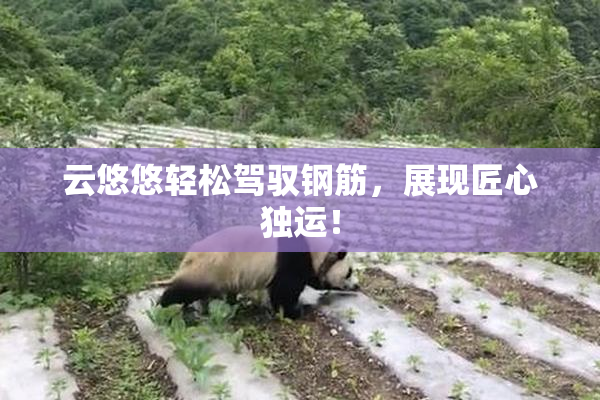 云悠悠轻松驾驭钢筋，展现匠心独运！