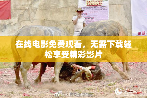 在线电影免费观看，无需下载轻松享受精彩影片