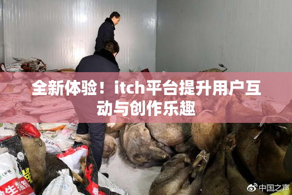 全新体验！itch平台提升用户互动与创作乐趣