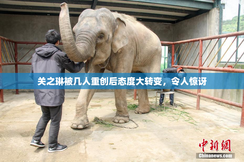 关之琳被几人重创后态度大转变，令人惊讶