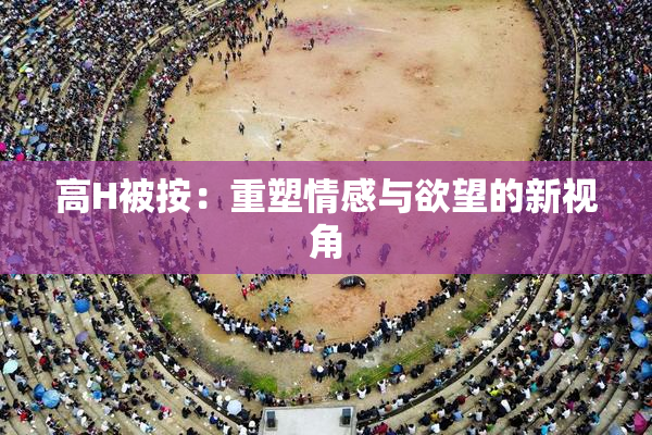 高H被按：重塑情感与欲望的新视角