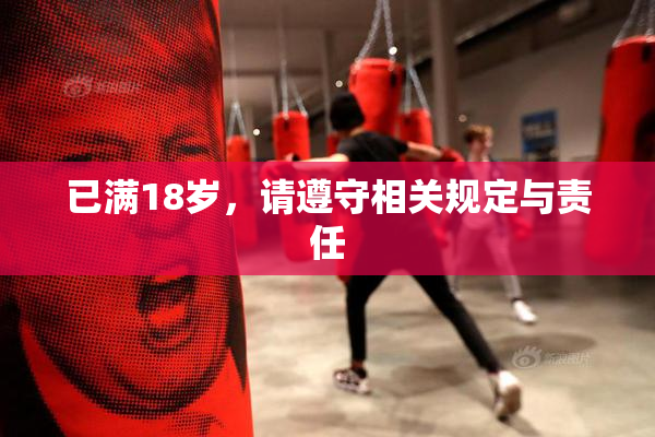 已满18岁，请遵守相关规定与责任