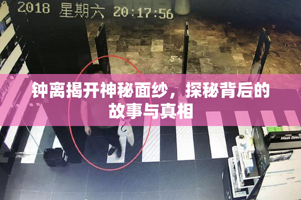 钟离揭开神秘面纱，探秘背后的故事与真相