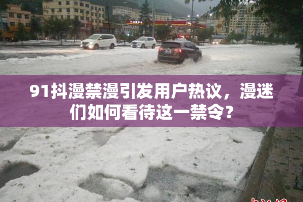91抖漫禁漫引发用户热议，漫迷们如何看待这一禁令？