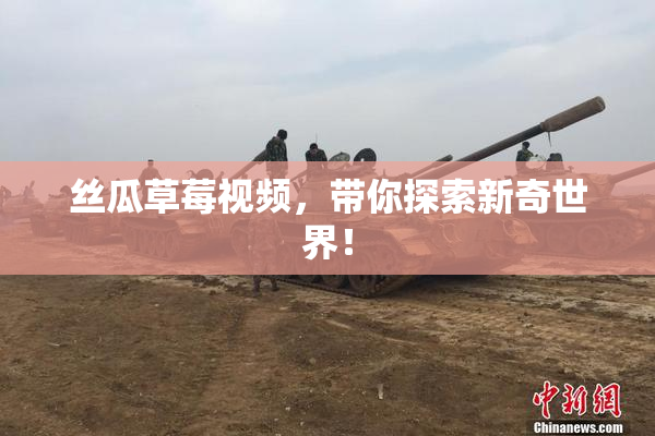 丝瓜草莓视频，带你探索新奇世界！