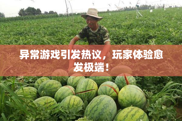 异常游戏引发热议，玩家体验愈发极端！