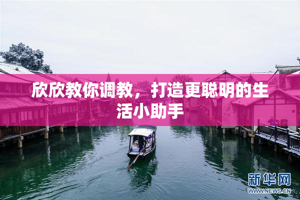 欣欣教你调教，打造更聪明的生活小助手