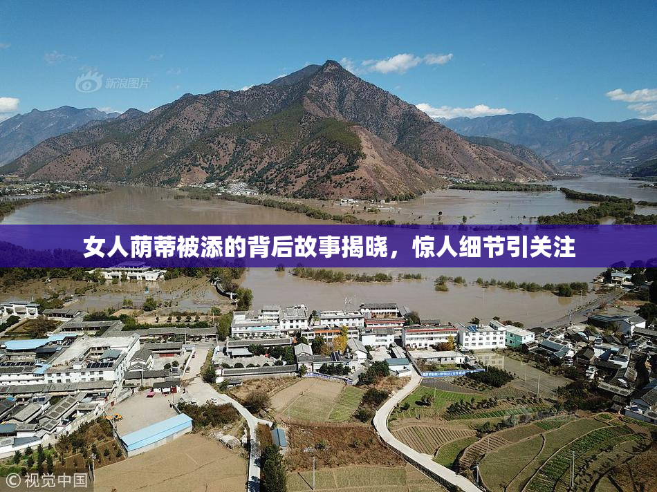 女人荫蒂被添的背后故事揭晓，惊人细节引关注