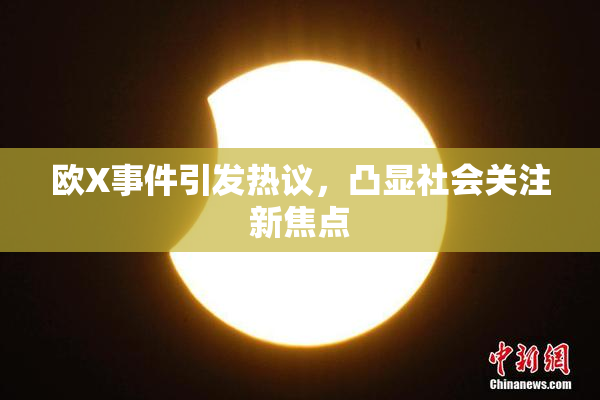 欧X事件引发热议，凸显社会关注新焦点
