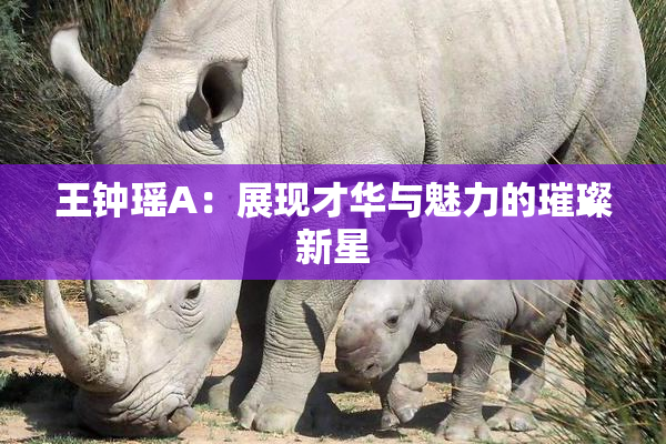 王钟瑶A：展现才华与魅力的璀璨新星