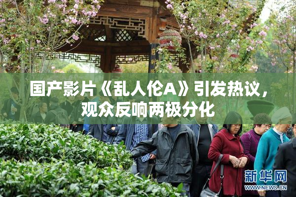 国产影片《乱人伦A》引发热议，观众反响两极分化