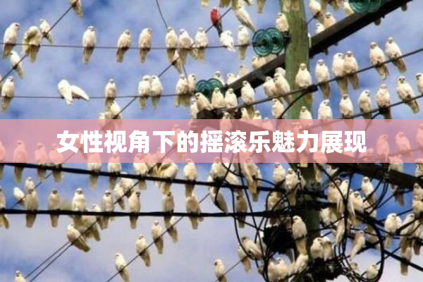 女性视角下的摇滚乐魅力展现