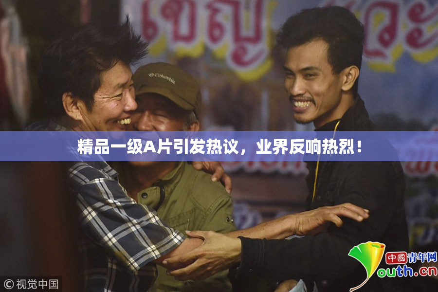 精品一级A片引发热议，业界反响热烈！