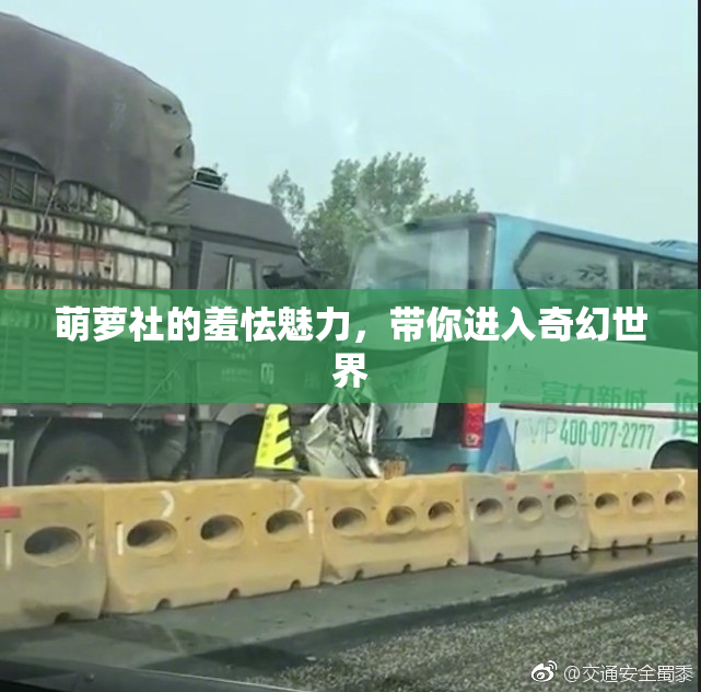 萌萝社的羞怯魅力，带你进入奇幻世界