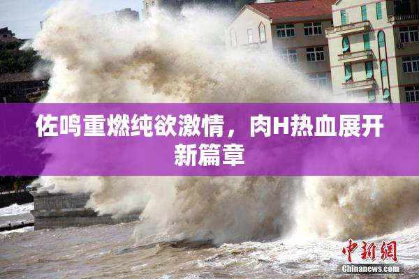 佐鸣重燃纯欲激情，肉H热血展开新篇章